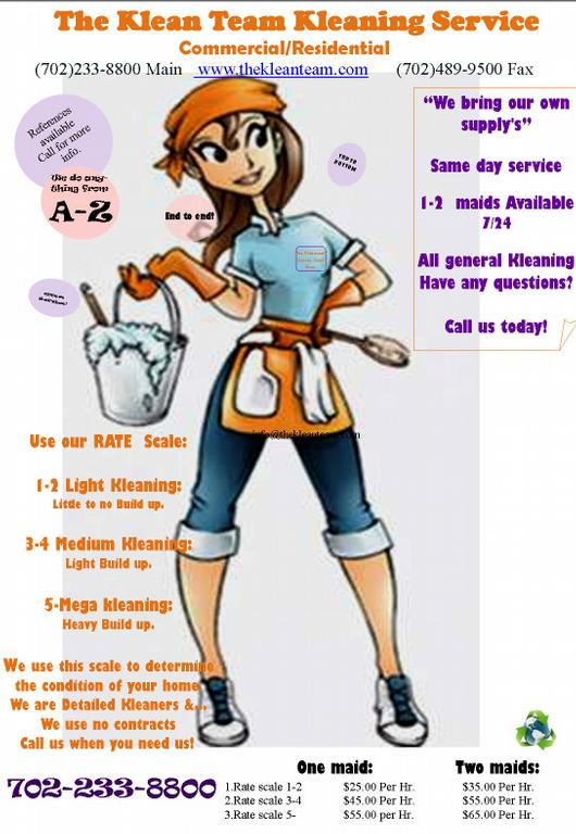 professional name for cleaning lady